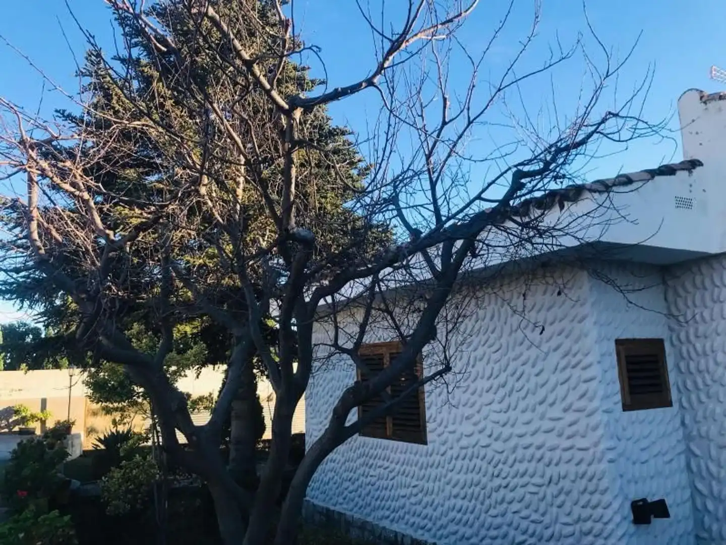 Villa con giardino in vendita a Madrigal, imagen 20