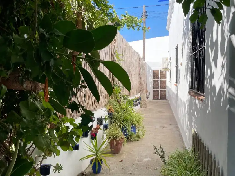 Villa mit Garten zur Miete in Calle Sotavento 6, imagen 21