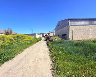 Exterior view of Country house for sale in Atarfe