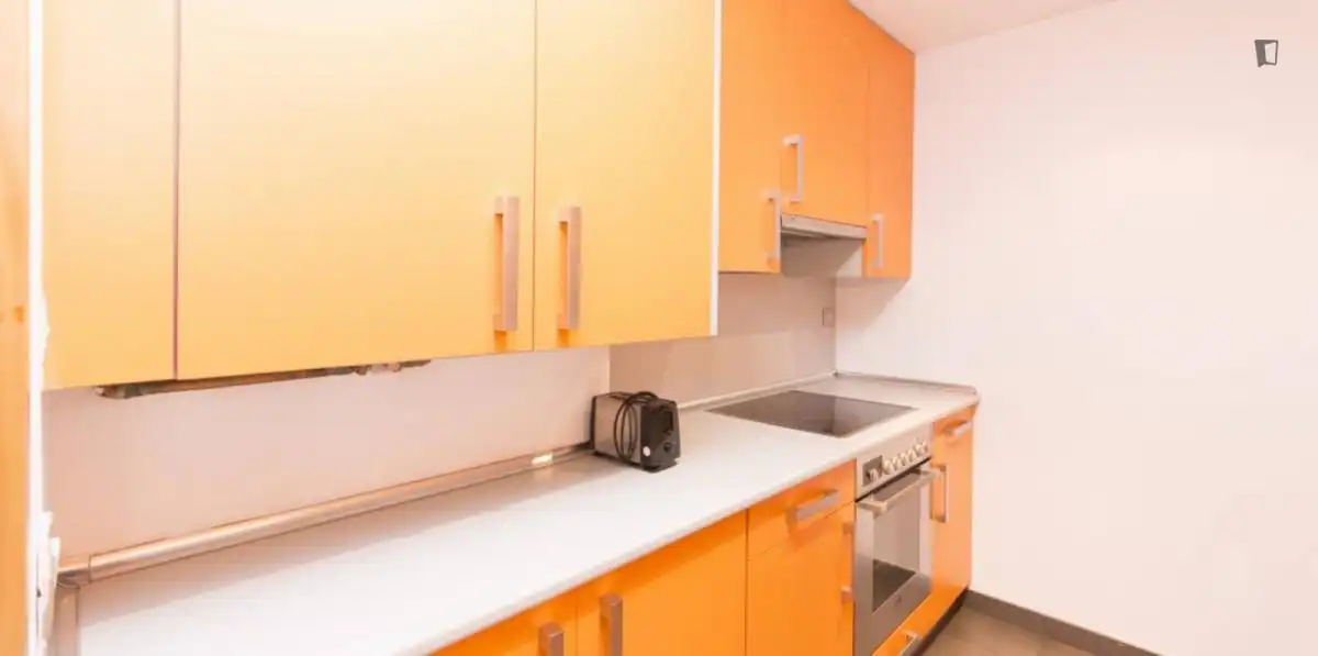 Apartament amb ascensor de lloguer a Centro, imagen 14