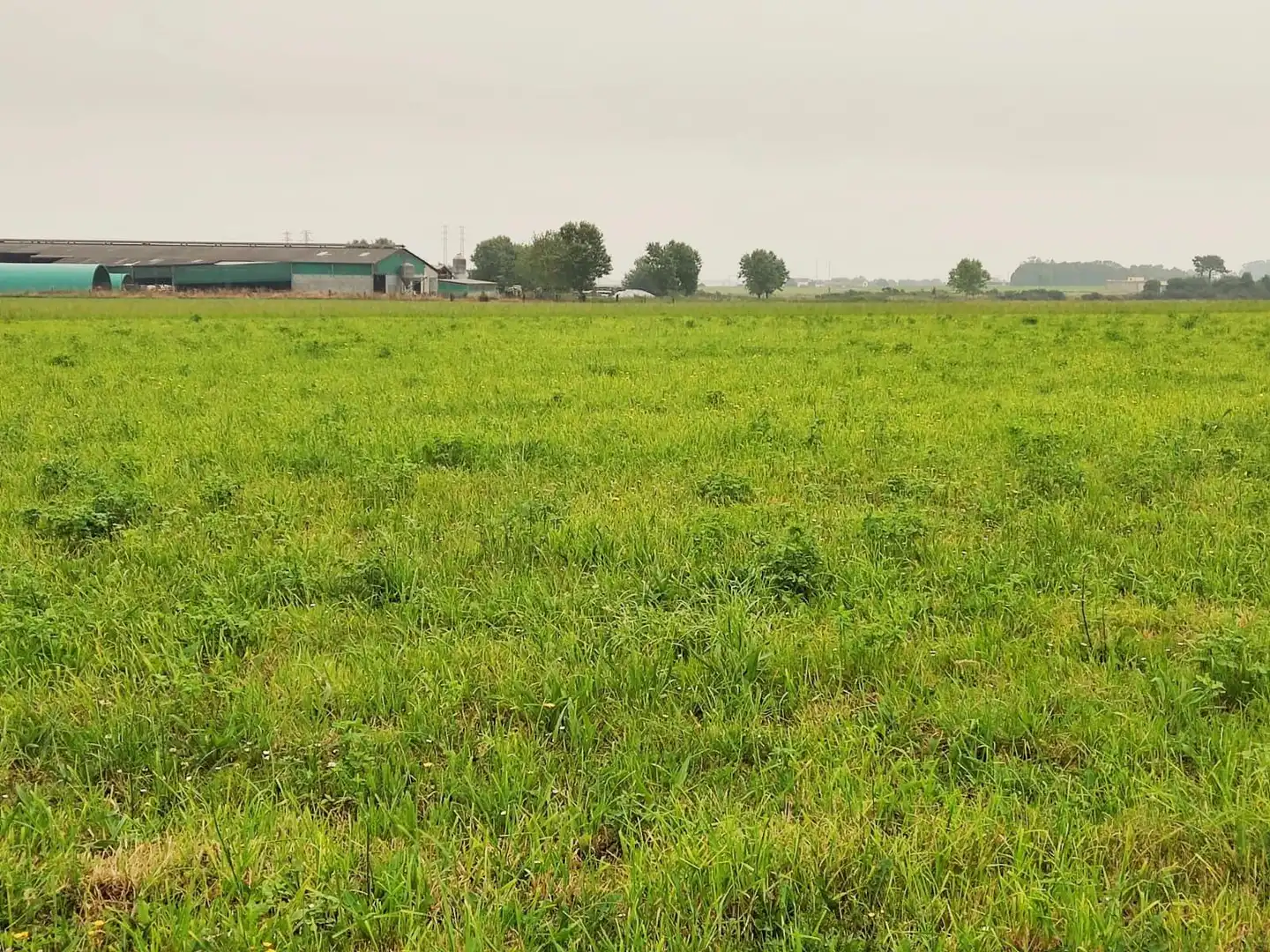 Terreno residencial en venta en Lugar Brul, imagen 15