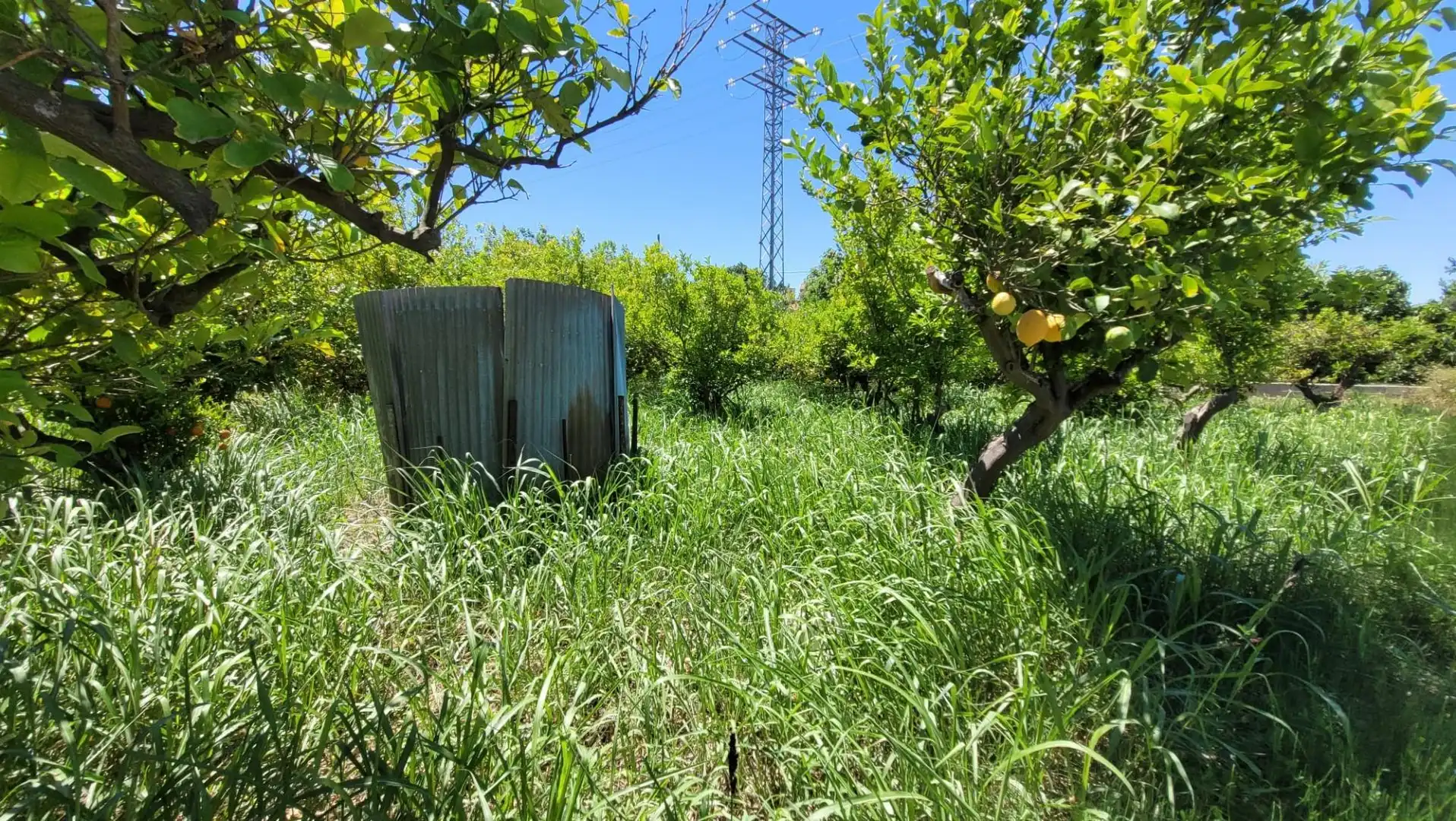 Terreno en venta en Murcia