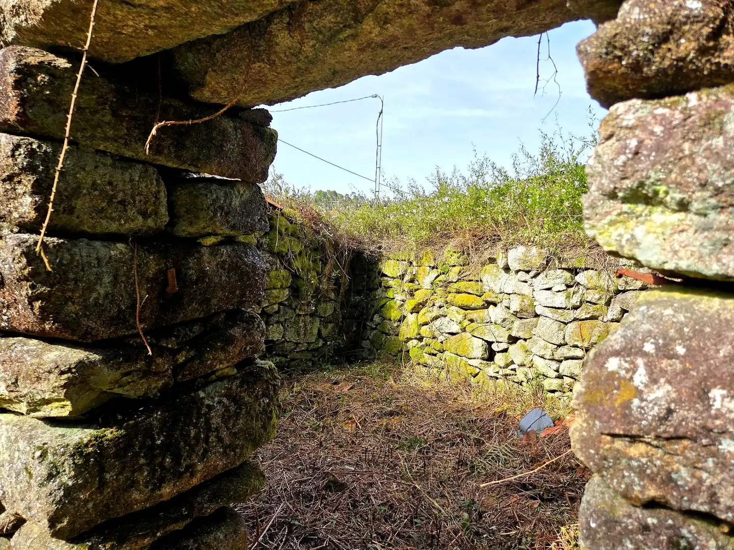 Vista exterior de Finca rústica en venta en Meis con Jardín privado y Terraza
