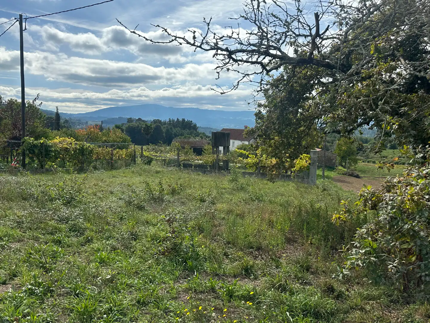 Casa o xalet en venda en Vedra