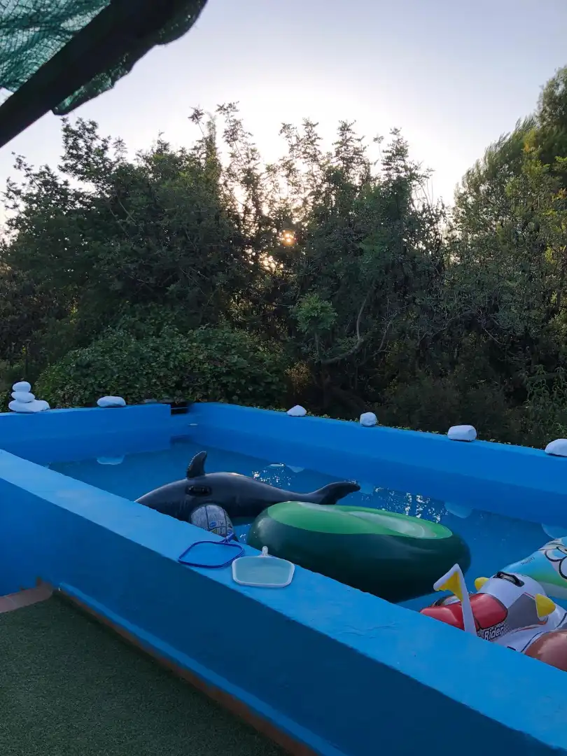 Piscina de Finca rústica en venda en Albalat dels Tarongers, Valencia