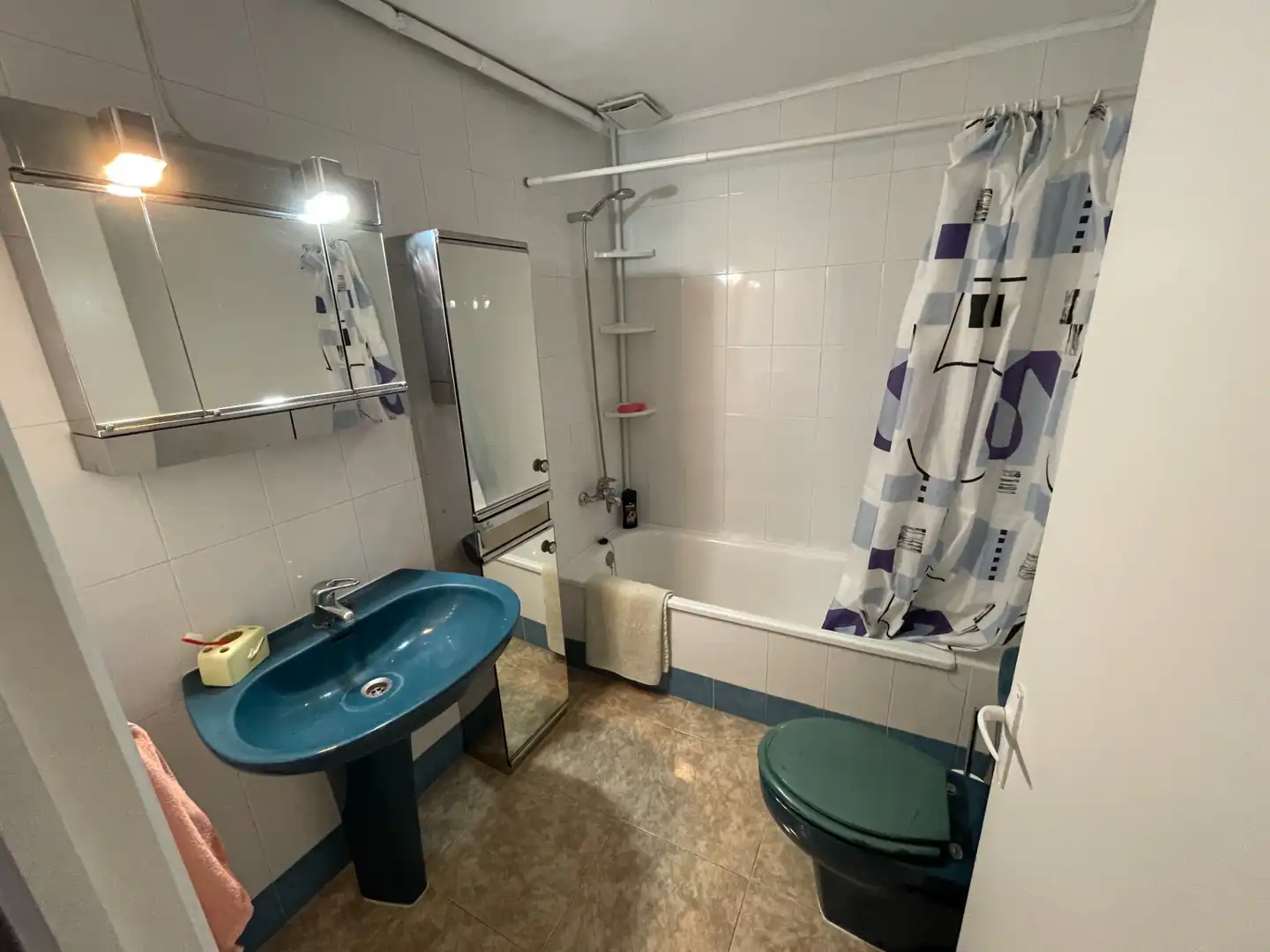 Bathroom of Houses for sale in Olot  with Private garden and Terrace