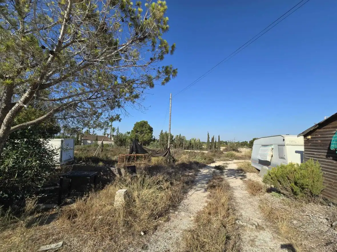 Finca rústica en venta en Elche / Elx con Terraza