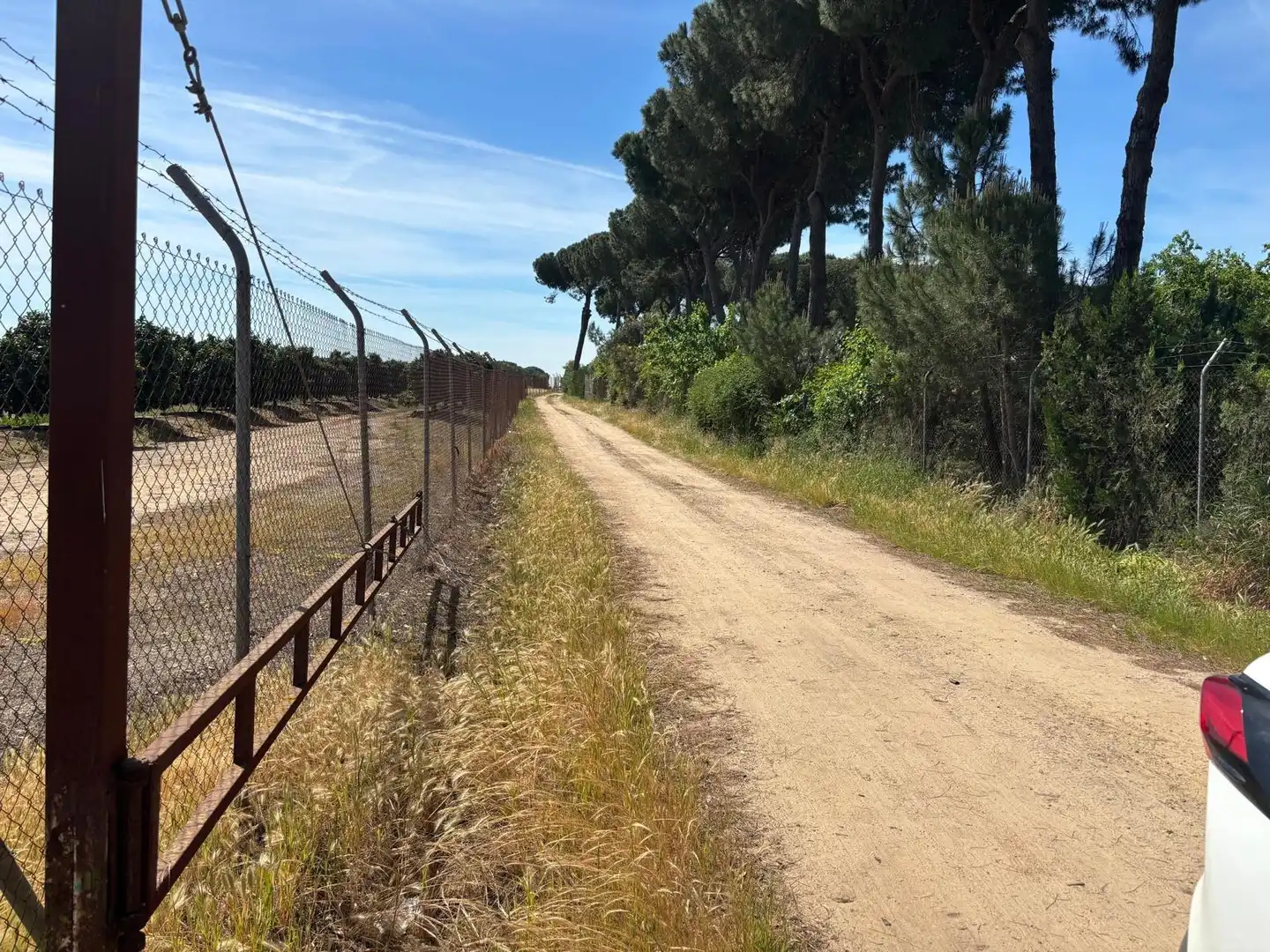 Terreni e lotti in vendita a Polígono Polígono 14 Paraje 87 LOS MONTES, imagen 29
