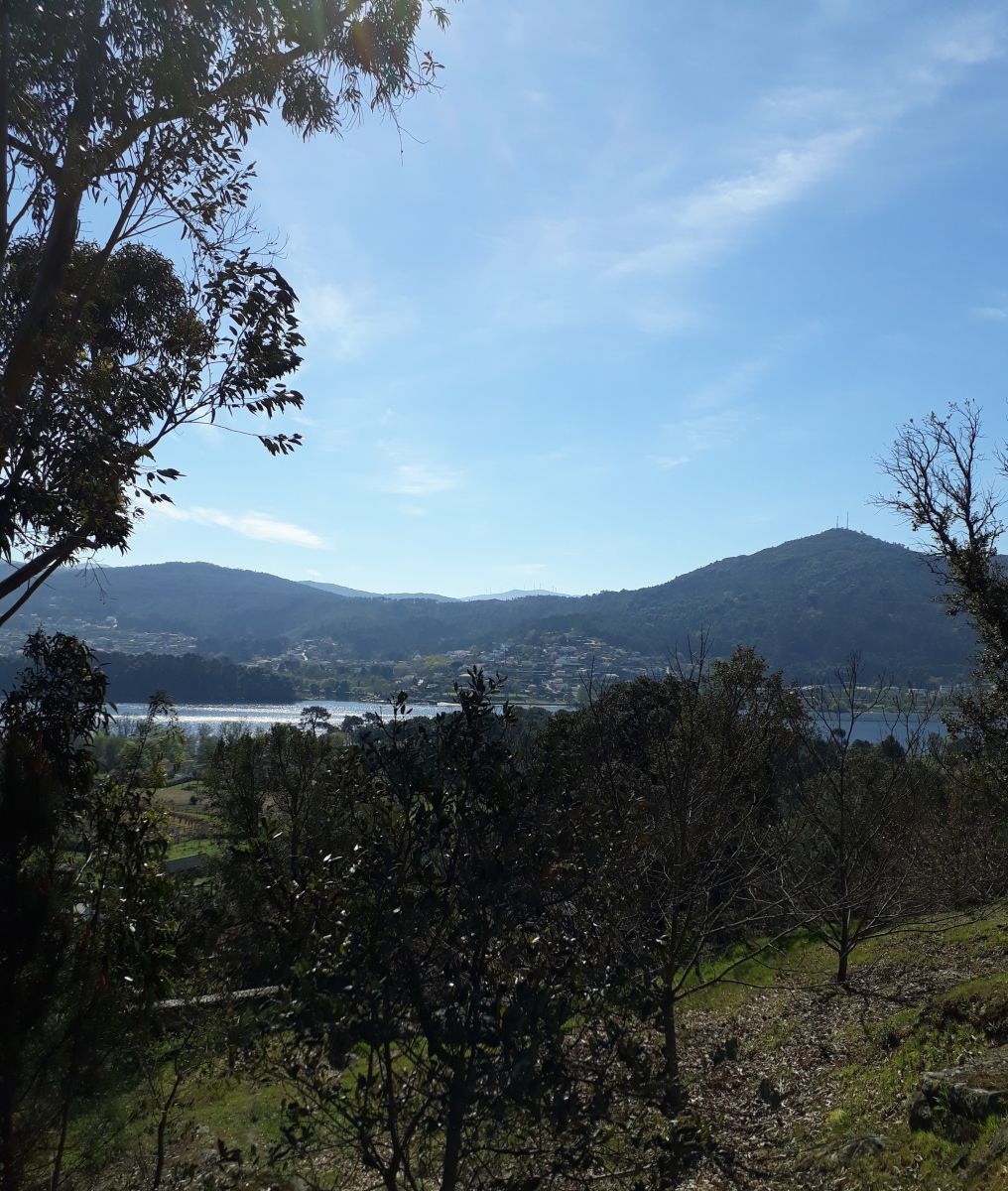Residential for sale in O Rosal