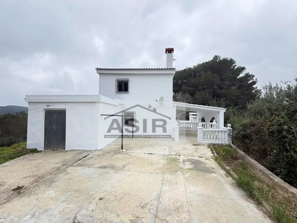 Exterior view of Houses for sale in Alzira