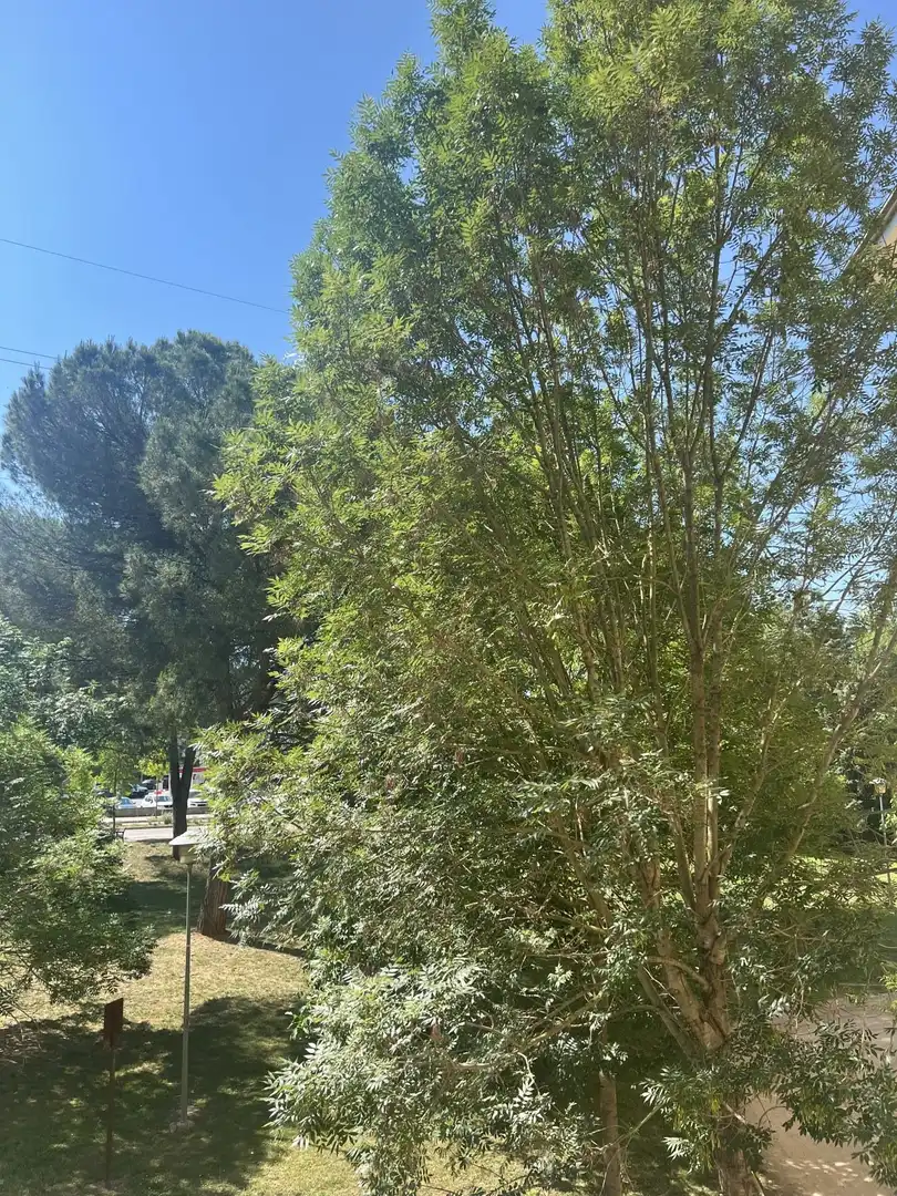 Flat for rent in ANGEL MARSA I BECA, Pont Major - Pedret - Campdorà