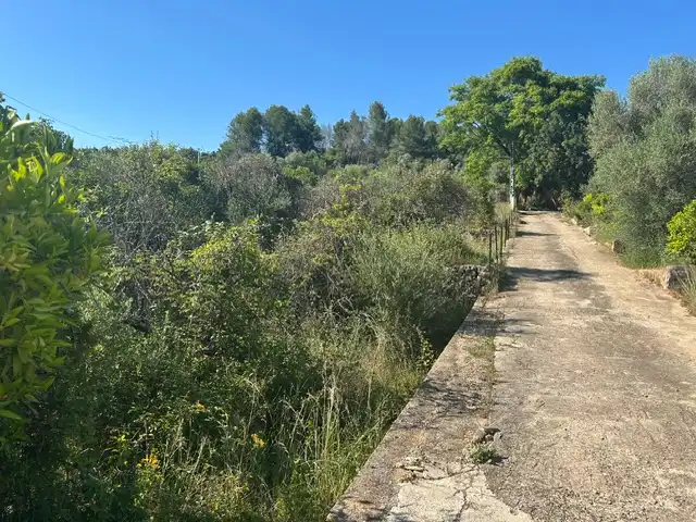 Rural land for sale in Vilallonga / Villalonga, imagen 6