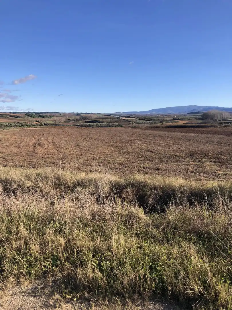 Terreny rústic en venda a Villamediana de Iregua, imagen 2