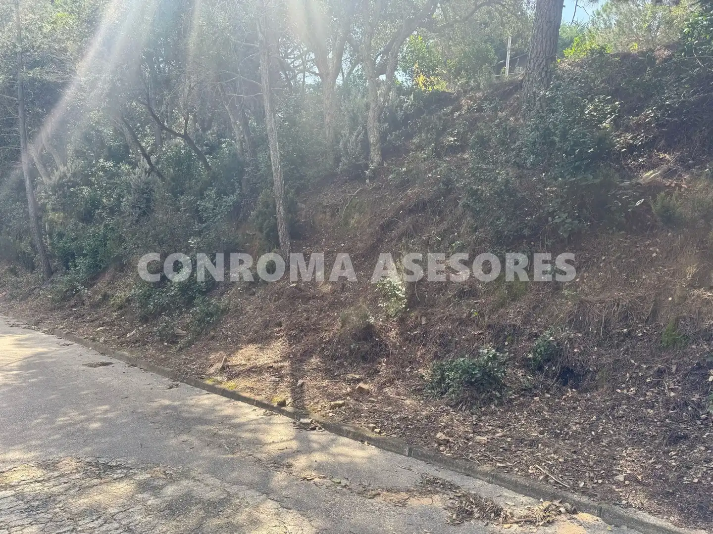 Residential land for sale in Serra Brava, imagen 4