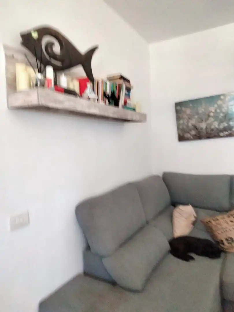 Sala de estar de Piso en venta en Puerto del Rosario con Jardín privado y Amueblado