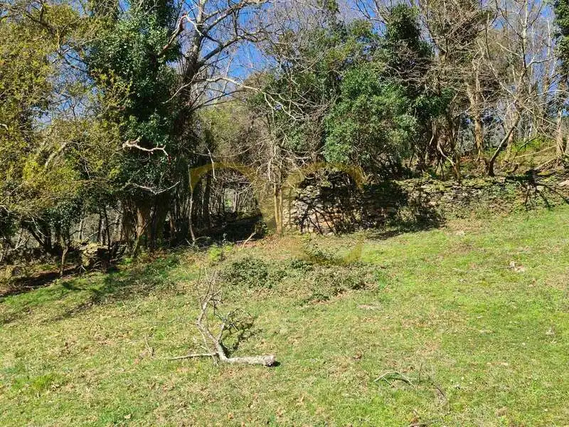 Casa o xalet en venda en Villayón amb Jardí privat