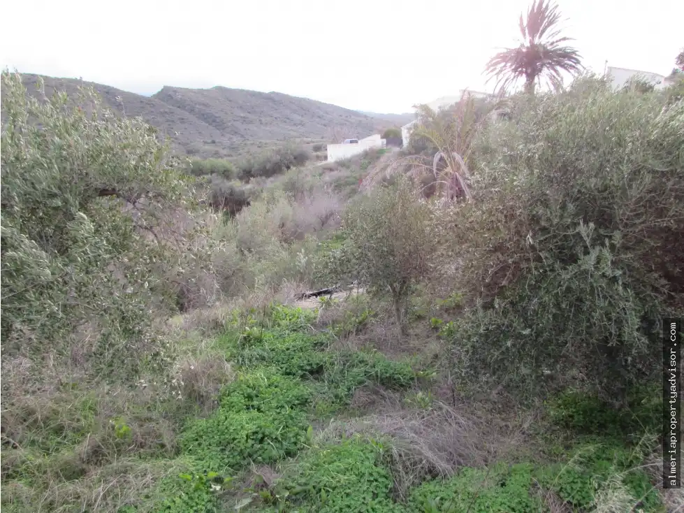 Casa rústica en venta en Los Gallardos, imagen 24