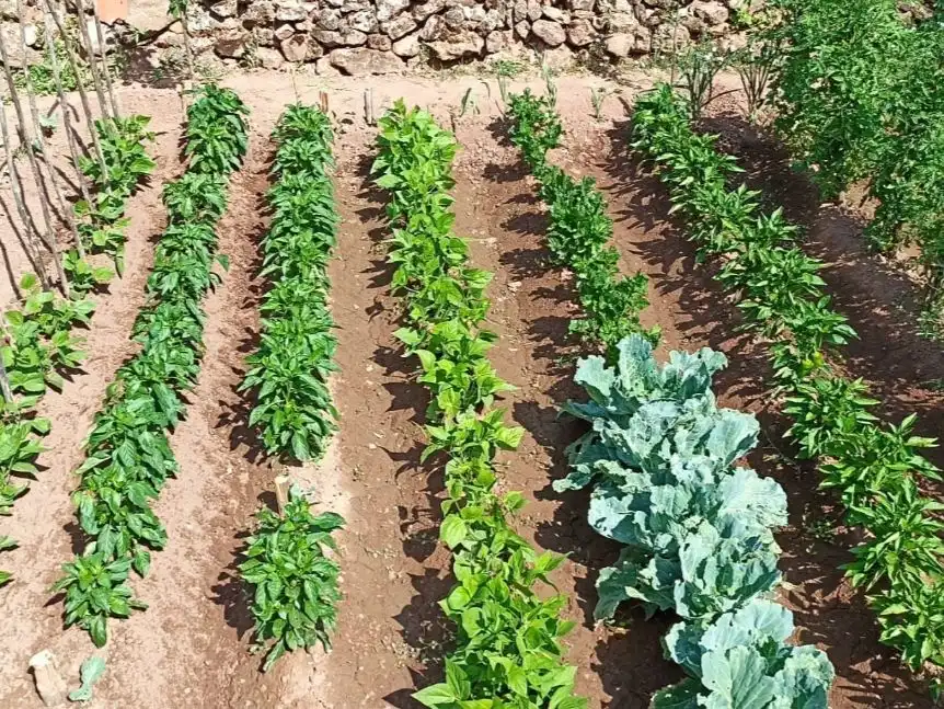 Terreno rustico in vendita a Paraje Huertas 10, imagen 6