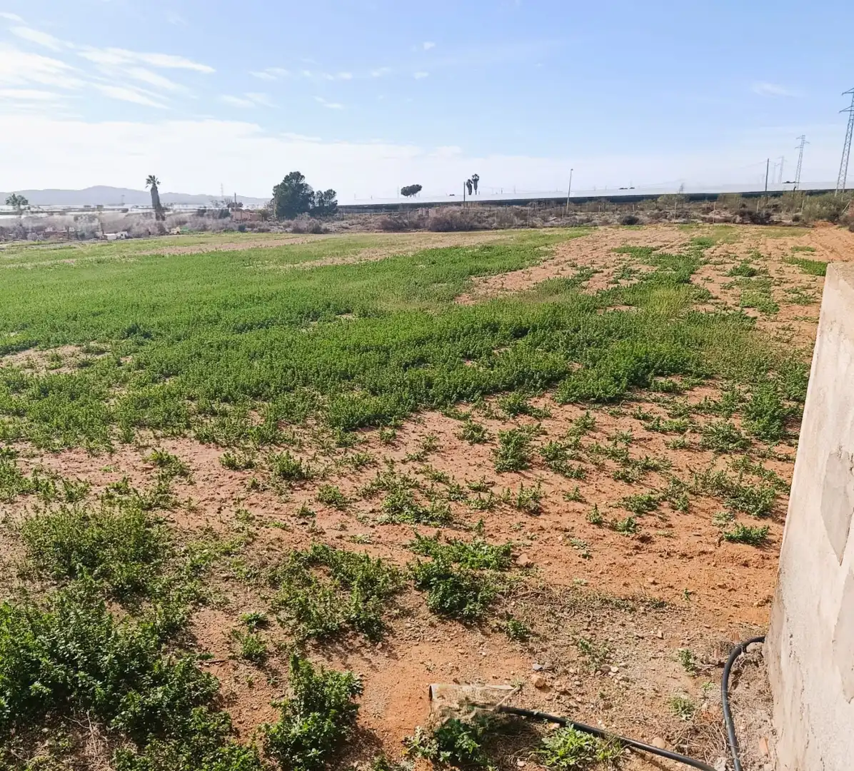 Nave industrielle à vendre à San Isidro - Campohermoso, imagen 4