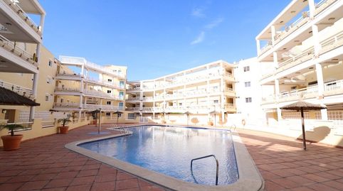 Photo 2 of Apartments for rent in Avenida de las Adelfas, Aguamarina, Orihuela