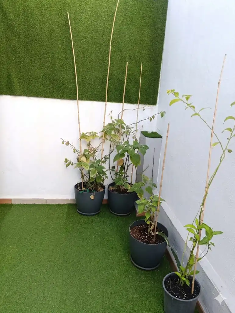 Terraza de Casa adosada en venta en Málaga Capital con Terraza, Horno y Microondas