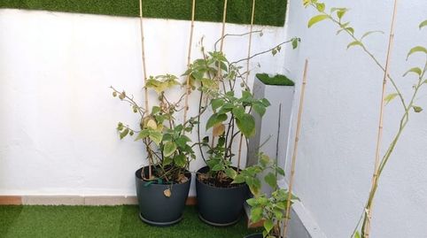 Photo 2 of Detached homes for sale in Calle Loberos, Dos Hermanas - Nuevo San Andrés, Málaga Capital