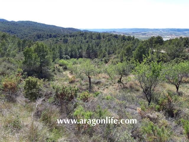 Terreno en Venta en Gandesa