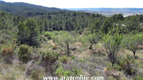 Finca de secano en Gandesa