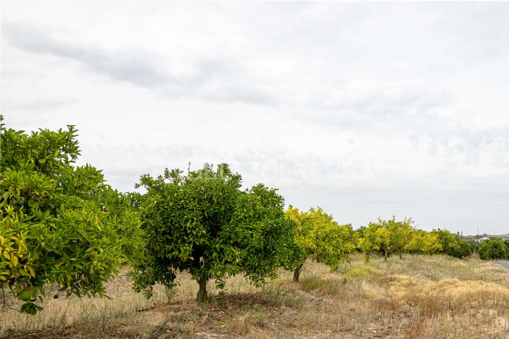 Casa o chalet en venta en Cartaya con Calefacción, Jardín privado y Terraza