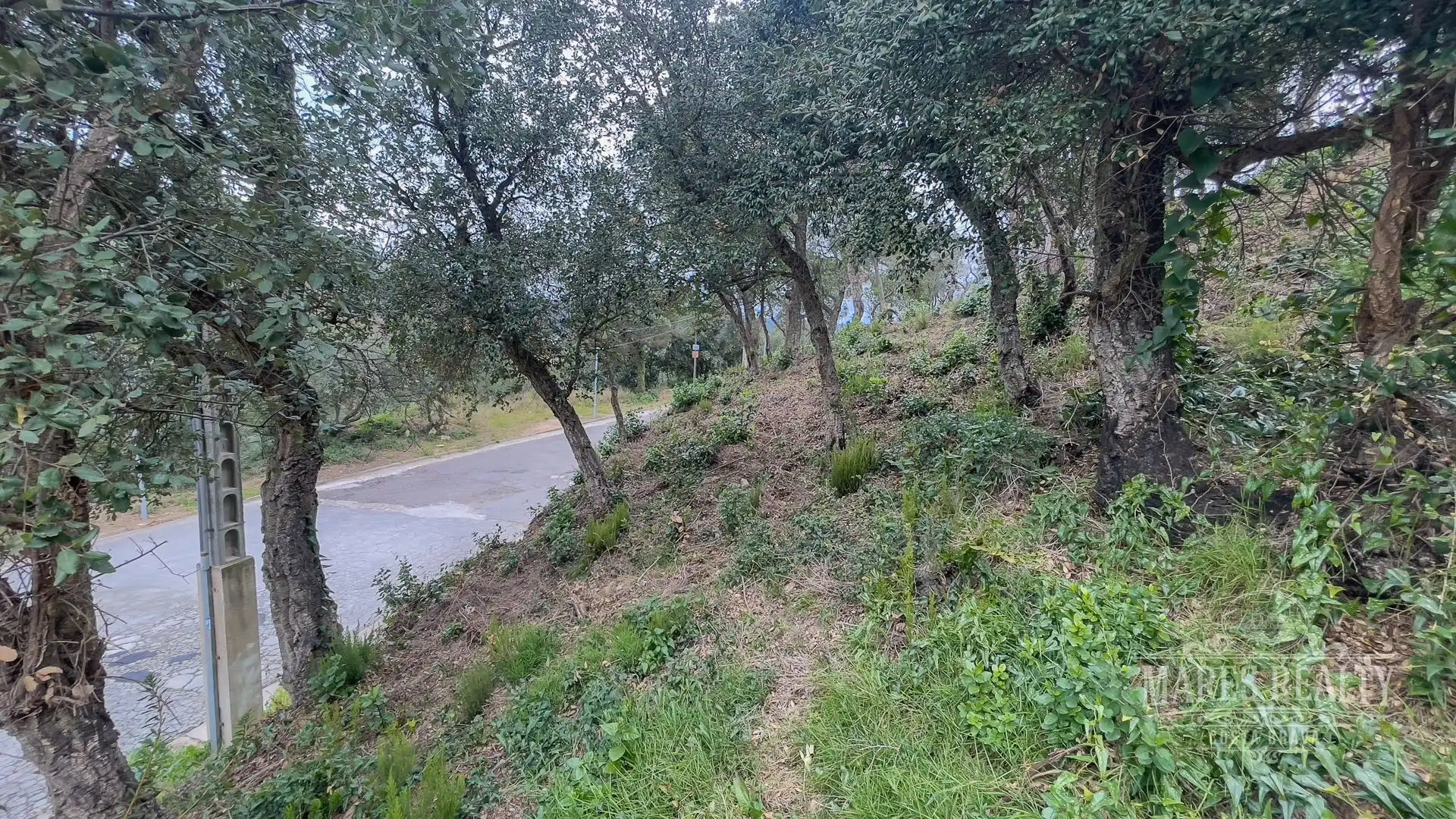 Grundstücke und Bauplätze zum Verkauf in Serra Brava, imagen 15