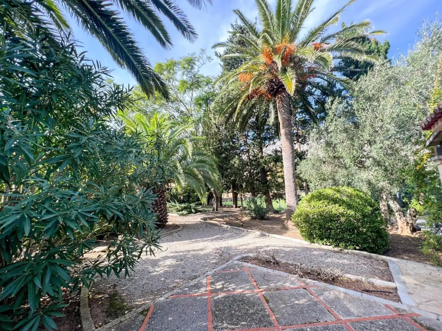Garten von Haus oder Chalet zum Verkauf in Pollença mit Klimaanlage, Heizung und Terrasse