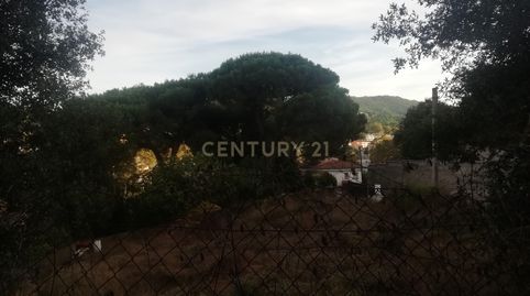Terreno plano en Canyamars, Dosrius., imatge 5