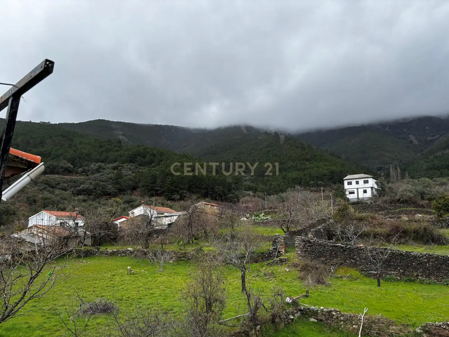 Houses for sale in Pinofranqueado