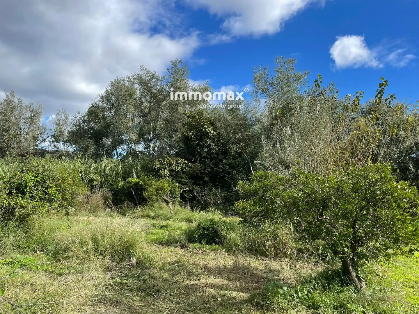 Terrain résidentiel à vendre à 4, imagen 20