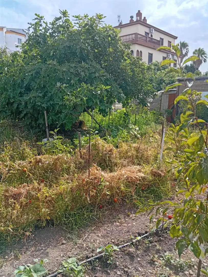 Villa avec jardin à vendre à Ayamonte ciudad, imagen 25