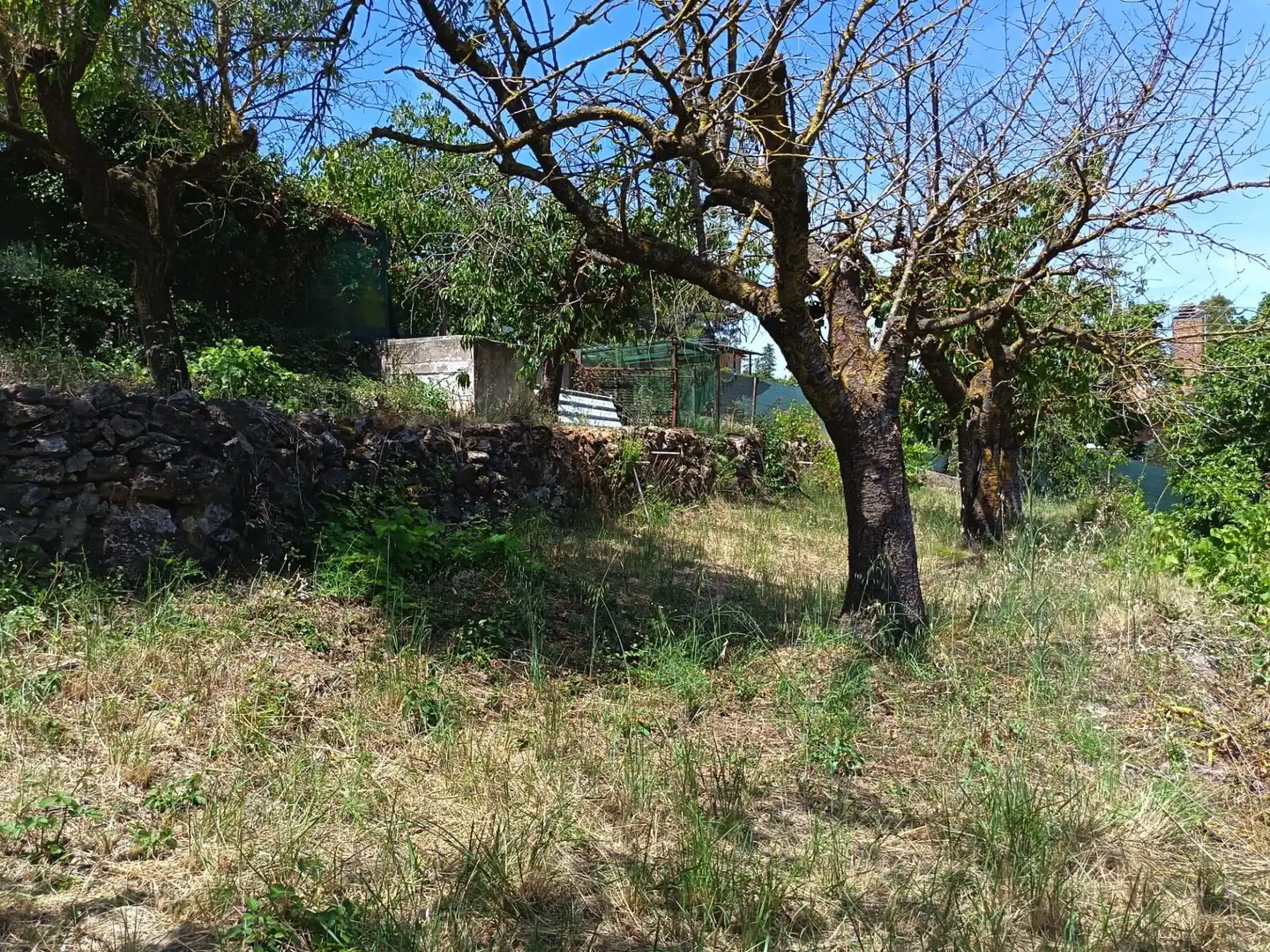 Casa o chalet en venta en Olesa de Bonesvalls con Calefacción, Jardín privado y Terraza