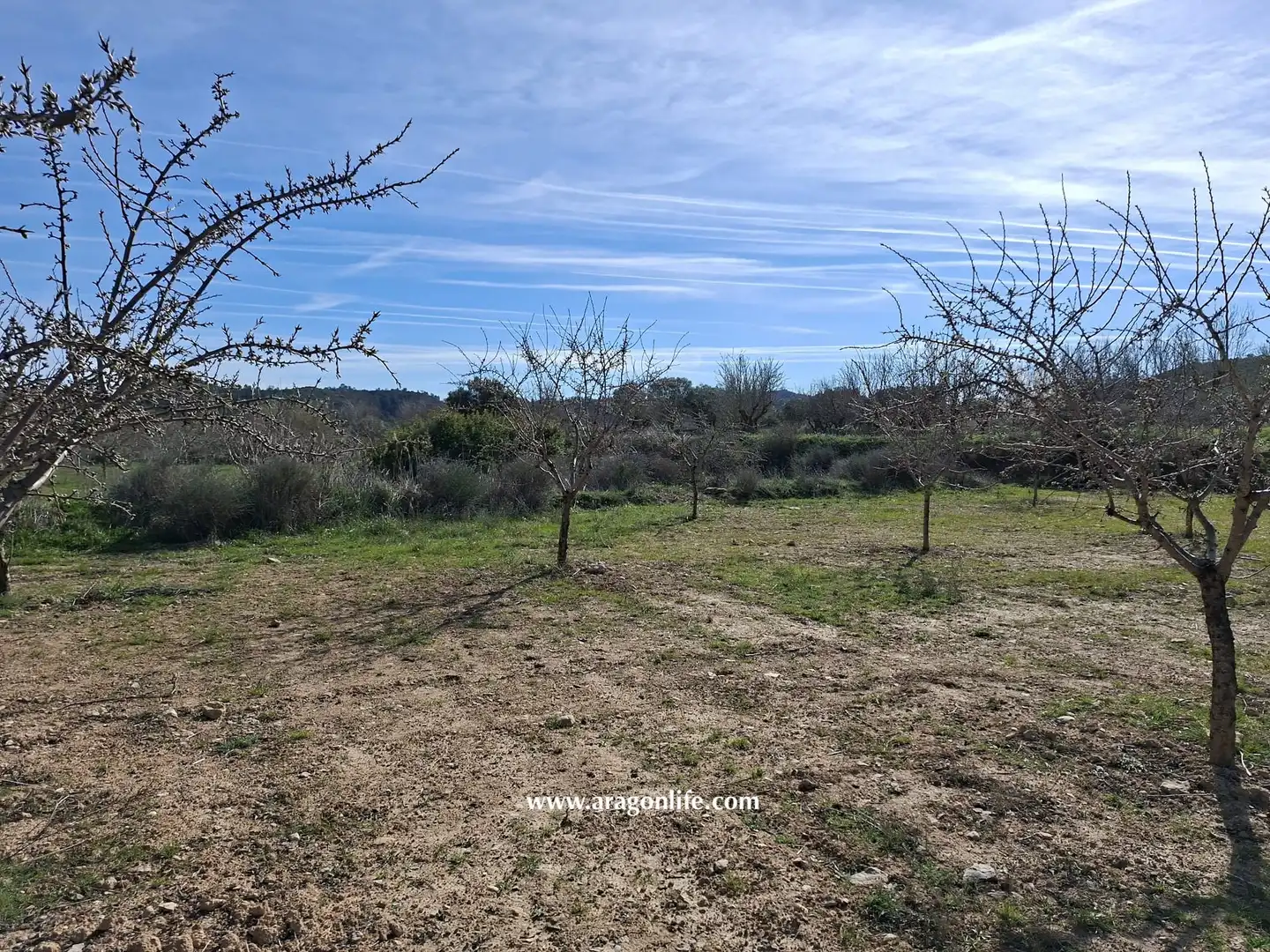 Land for sale in Fabara