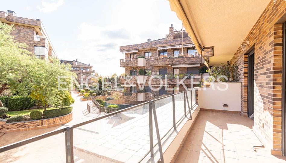 Photo 1 of Apartment to rent in Norte, Madrid