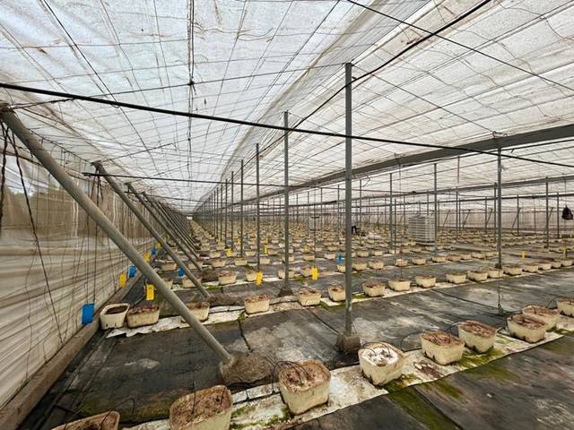 Terreno en Venta en Playa de Granada