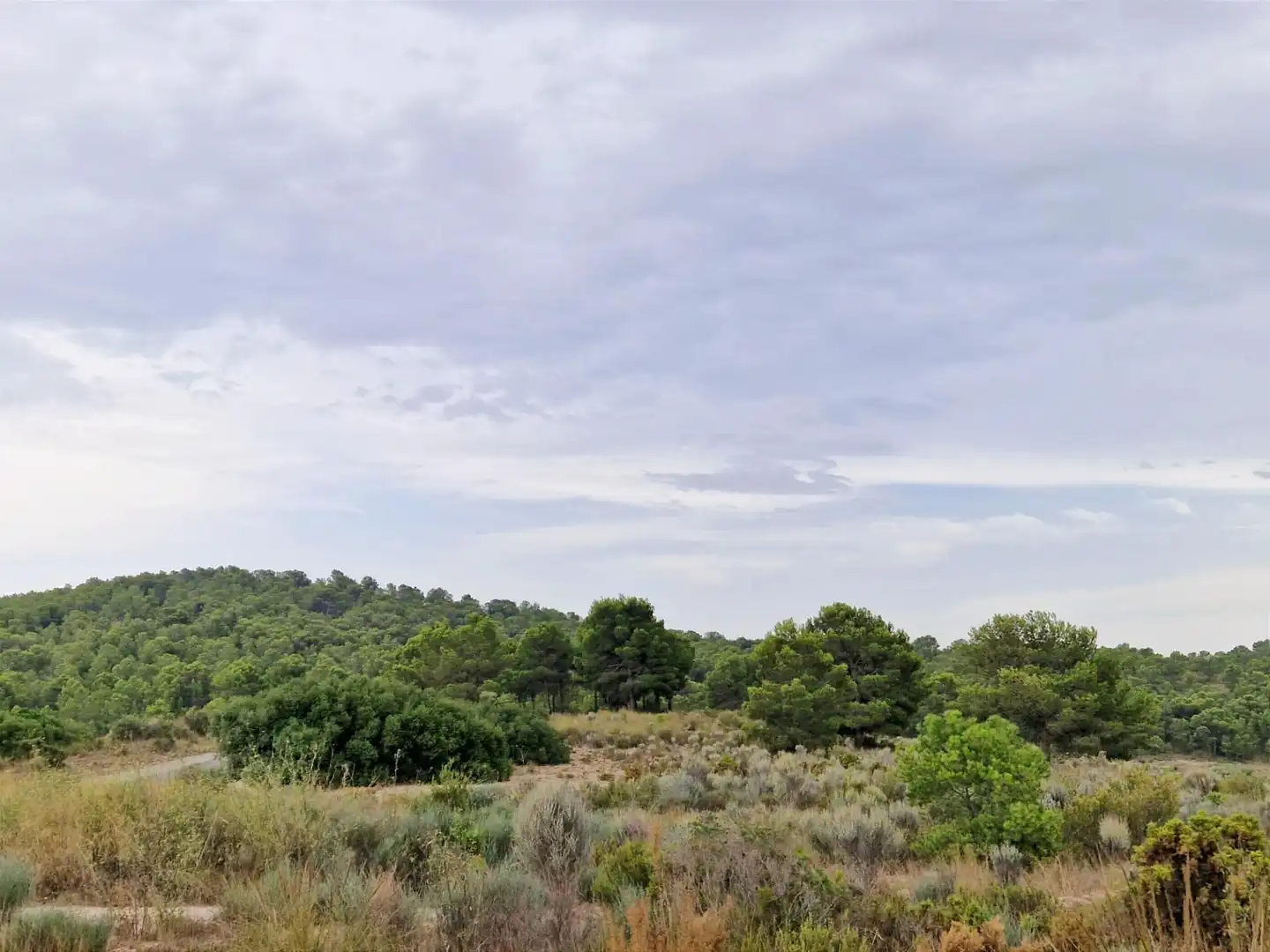 Detached homes for sale in Tibi  with Air Conditioner, Heating and Private garden