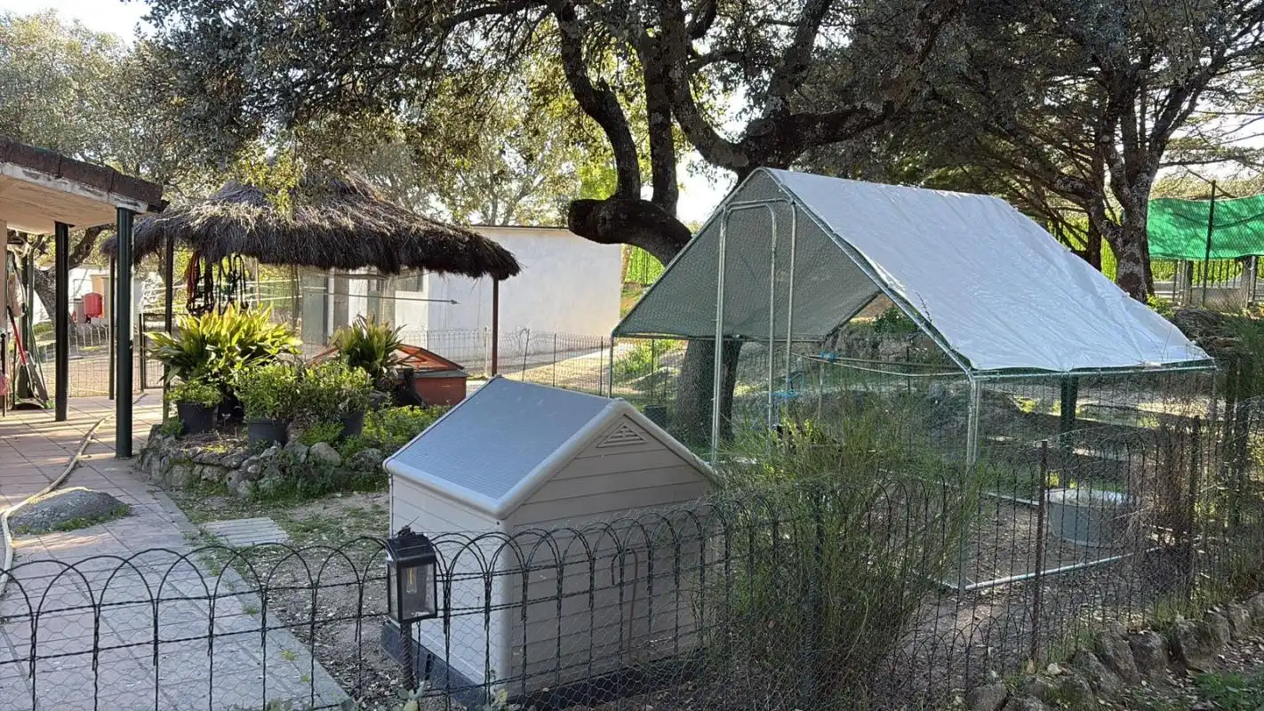 Vista exterior de Finca rústica en venta en El Escorial con Calefacción y Jardín privado