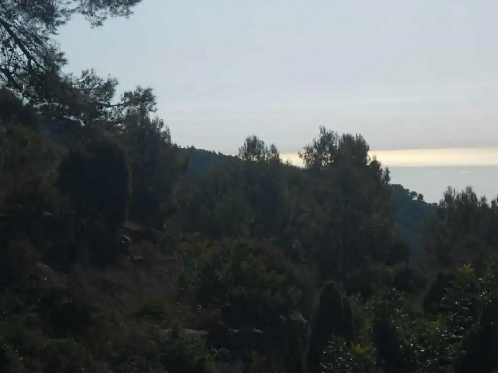 Terreno rústico en venta en CANTERERES, LES, imagen 3