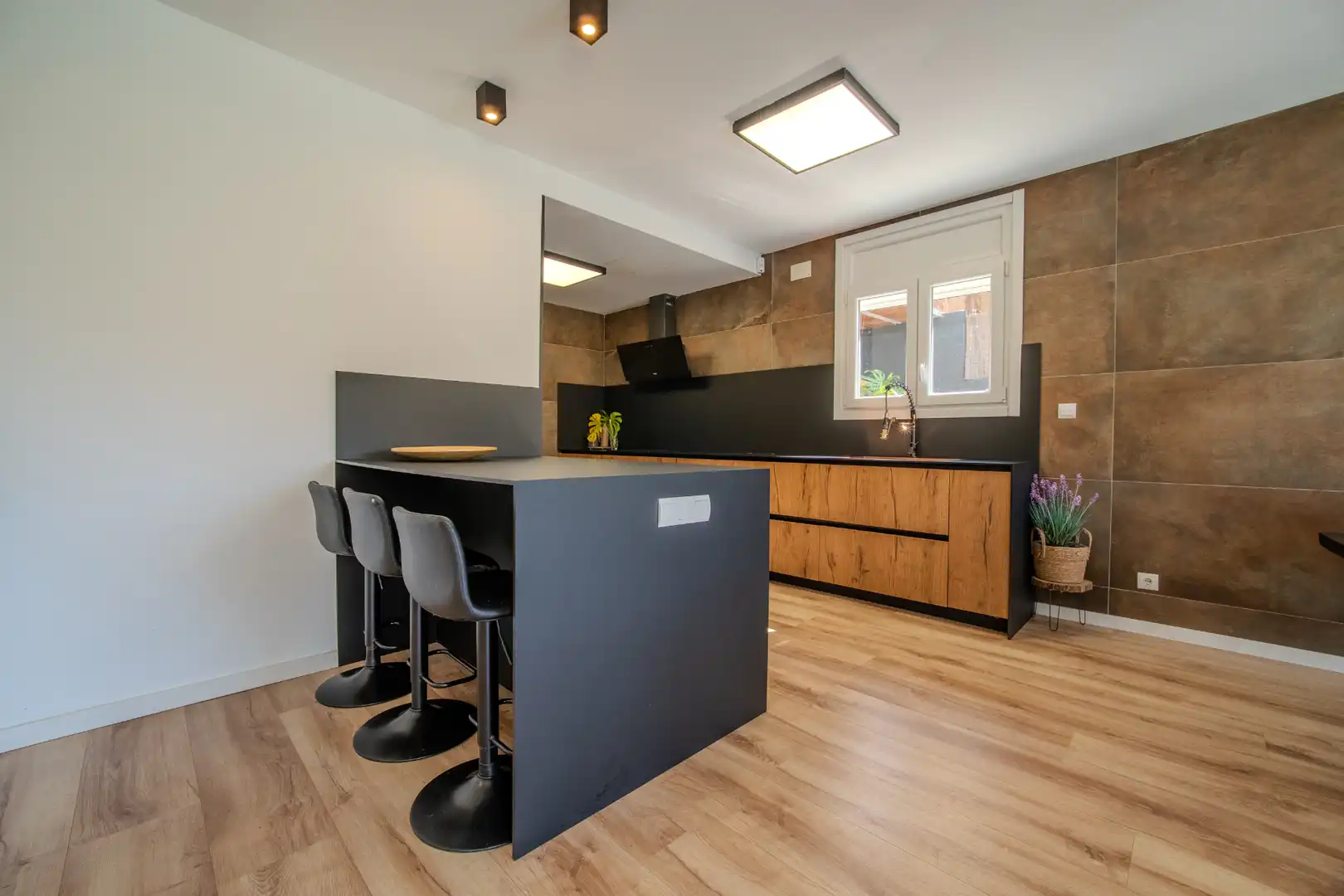 Cocina de Casa o chalet en venta en Segur de Dalt