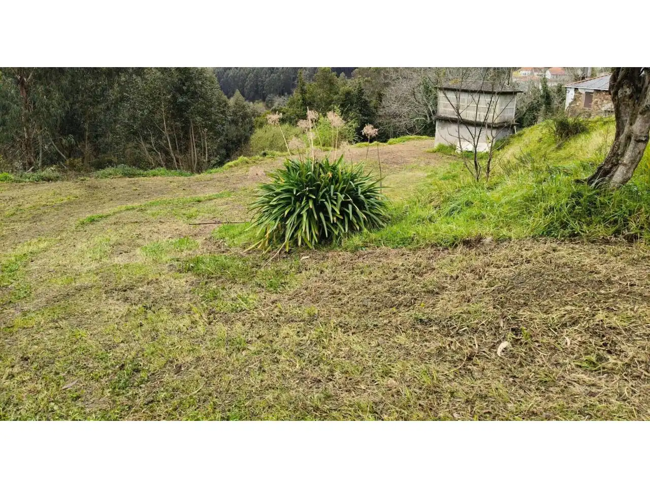 Casa en venda a Cariño, imagen 5