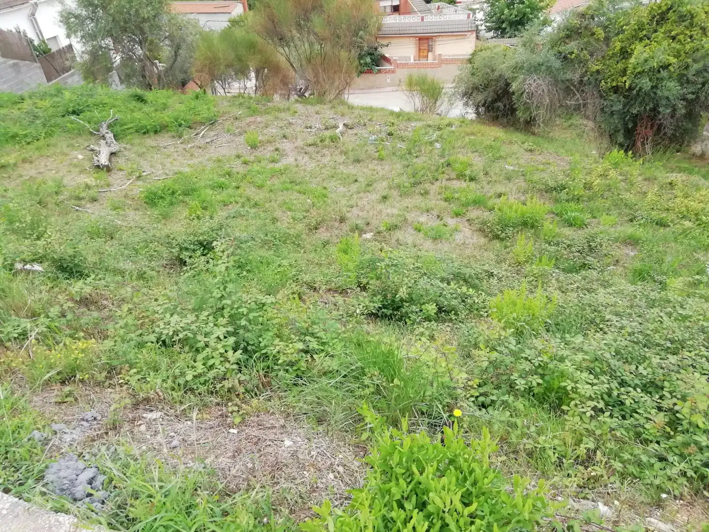 Terreno rustico in vendita a Piera, imagen 3