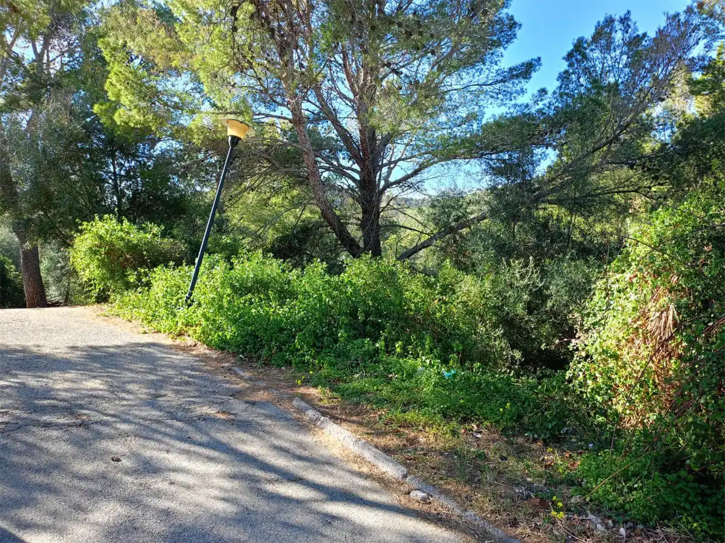 Terreno en venta en Capdepera