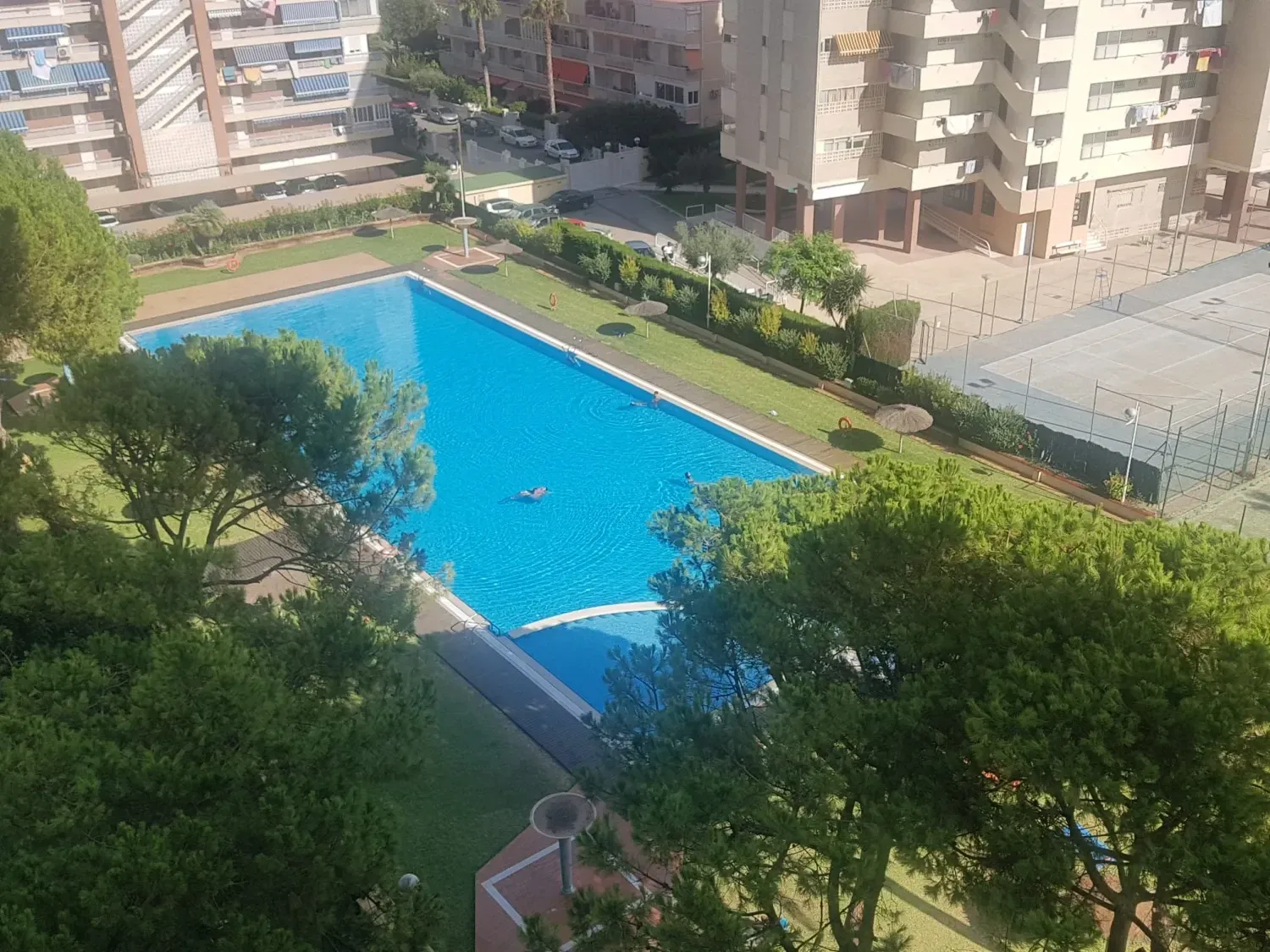 Swimming pool of Flat to rent in Alicante / Alacant  with Terrace, Furnished and Oven