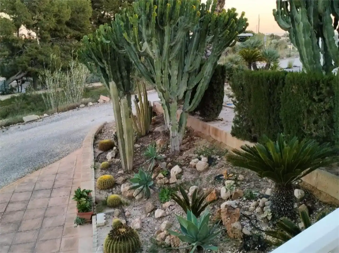 Jardín de Casa o chalet en venta en Elche / Elx con Aire acondicionado