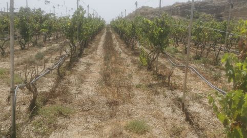 Foto 4 de Terreny en venda a Calle el Calvario, 18, Granadilla de Abona ciudad, Granadilla de Abona
