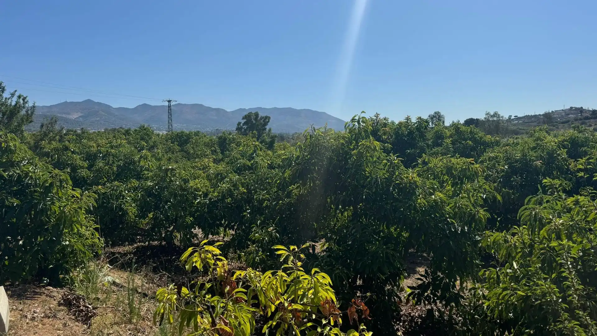 Terreno rustico in vendita a Capellanía - Retamar, imagen 12